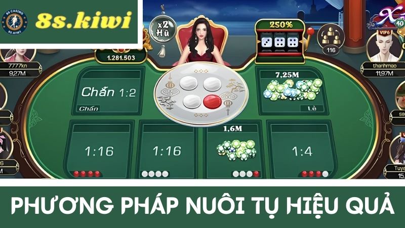 nuôi tụ đánh Xóc đĩa online