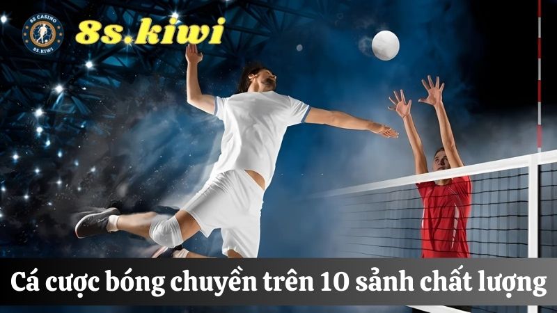 Cá độ bóng chuyền 10 sảnh thể thao 