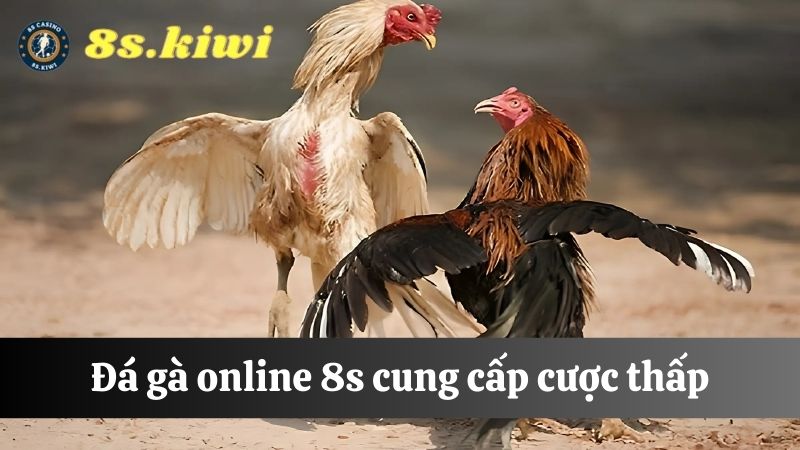 mức cược Đá gà online 8s