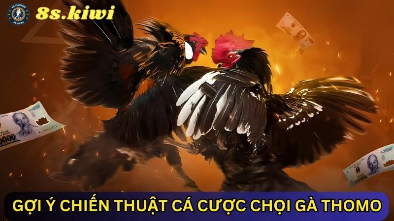 chiến thuật đá gà Thomo