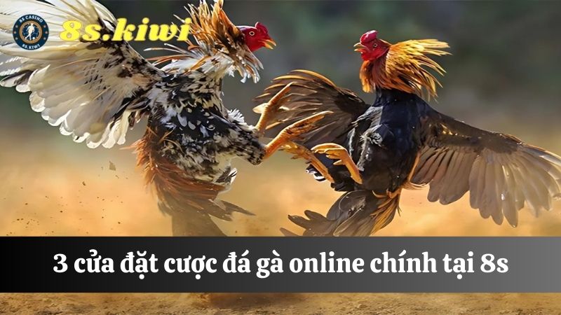 3 cửa đặt cược Đá gà online 8s