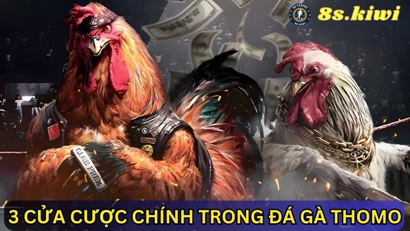 3 cửa cược trong đá gà Thomo